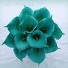 flowers0
