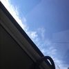 tladybug98