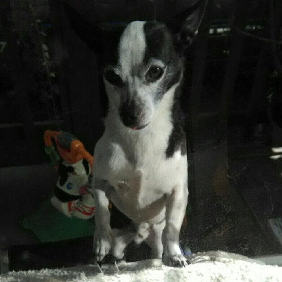 julio54321