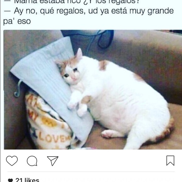kath_ms4
