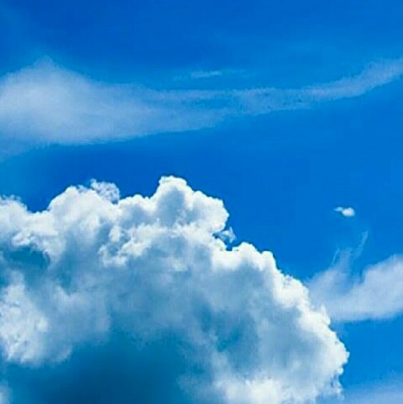 kingjose1234