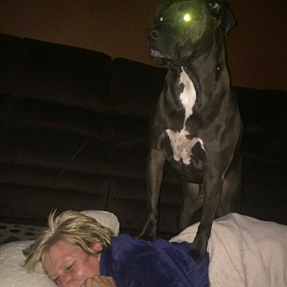 zackmegan