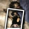 loverryan14
