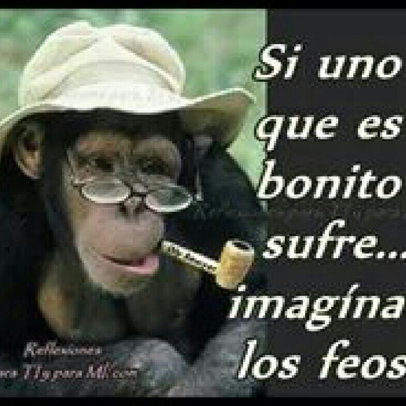 gcandrade