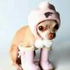 pookylu