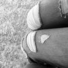 spring_roll