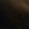 ale_562