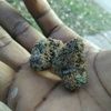 leveedogg225