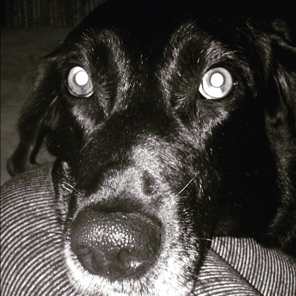 rubynelson_