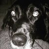 rubynelson_
