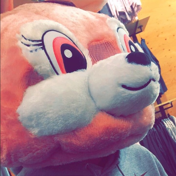 coryholmess