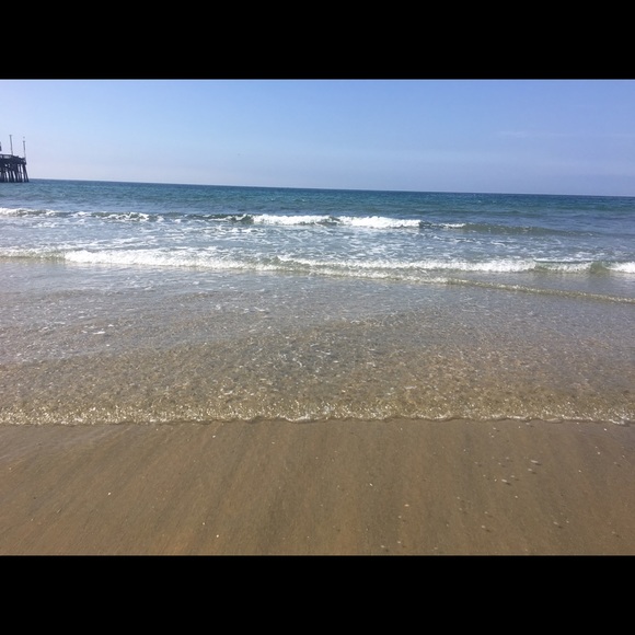 bear_bear231