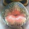 npull01
