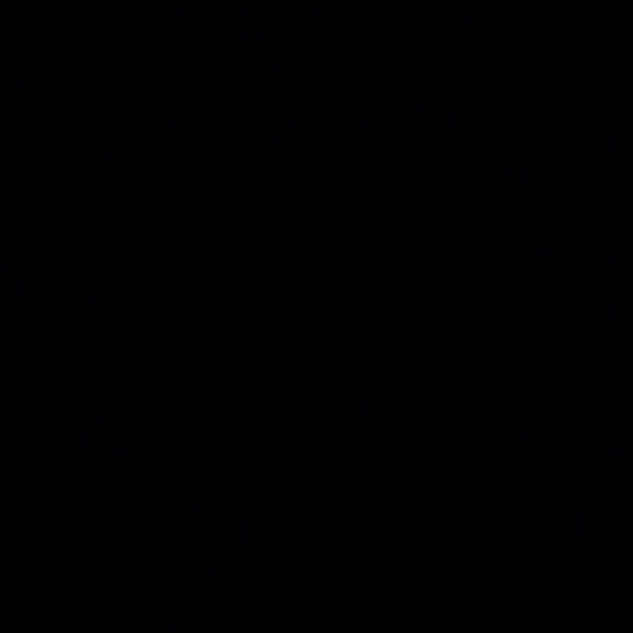 dovidg