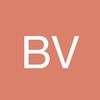 besyv101
