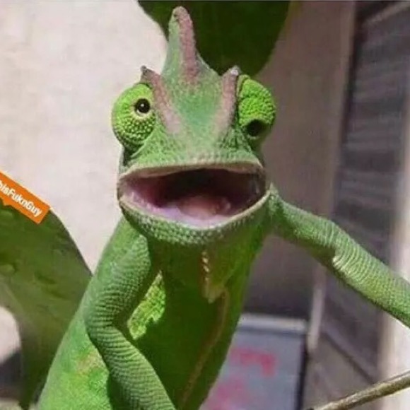 pittyla