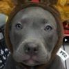 charlie0214