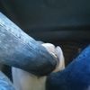jonathanco