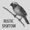 rusticsparrow