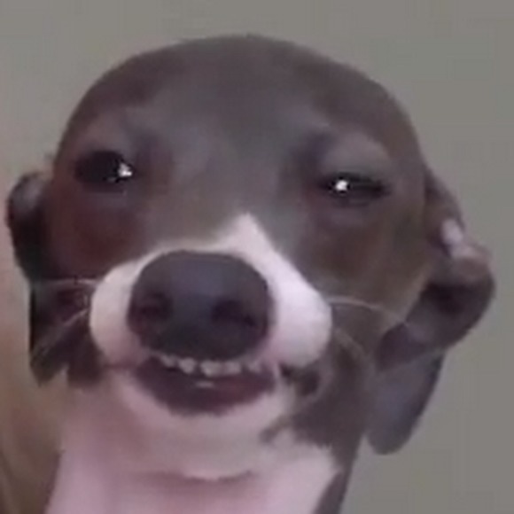 kaitlanalexa