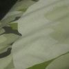 stephaniec489