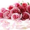 roseysun