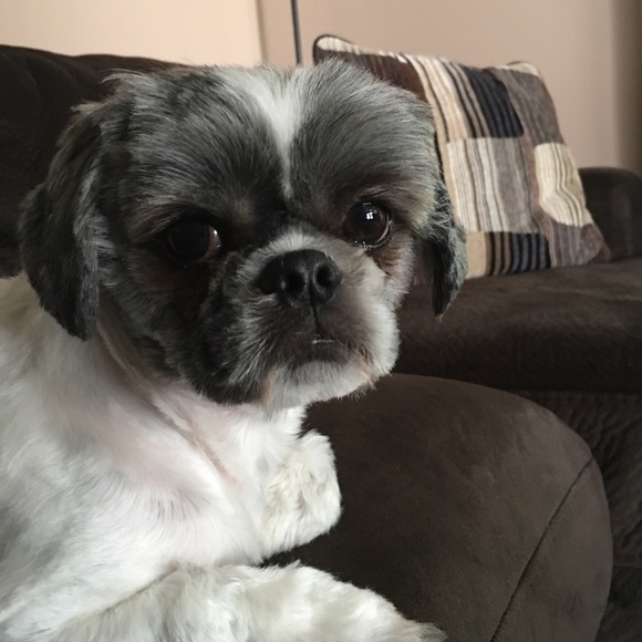 chloebug_04