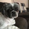 chloebug_04