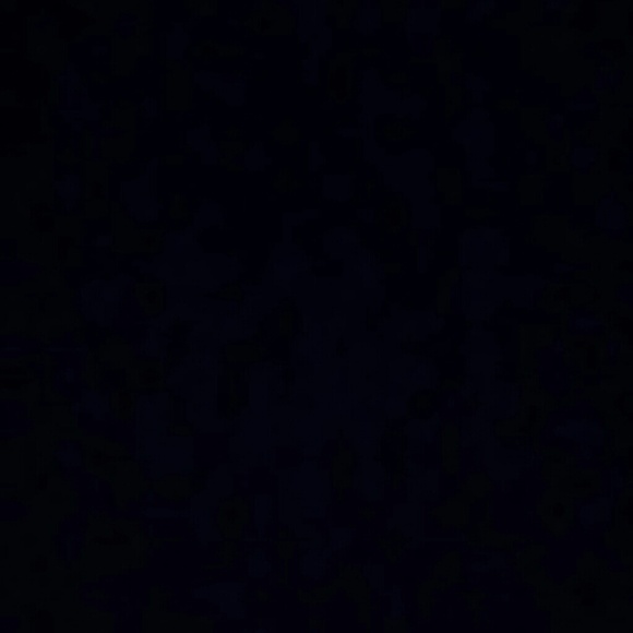 unicorn_555567