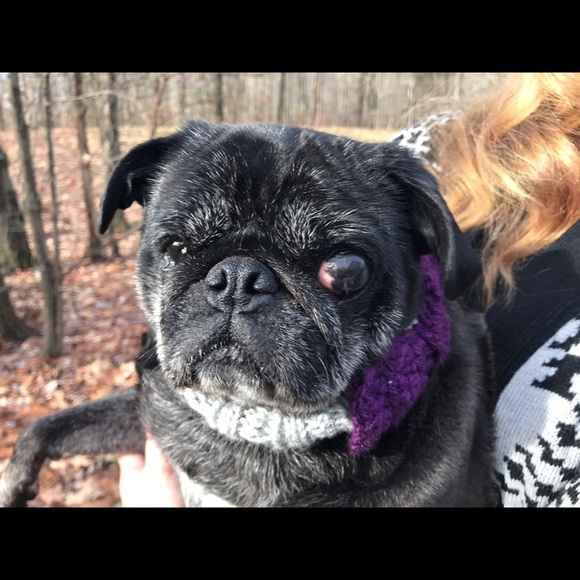 olithepug