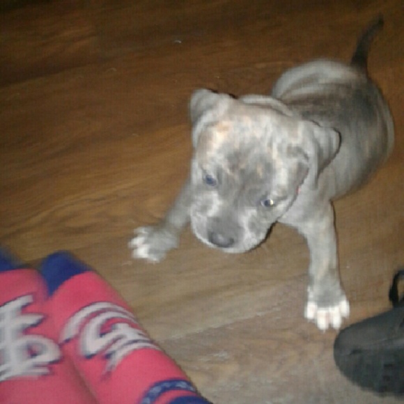 peewee974
