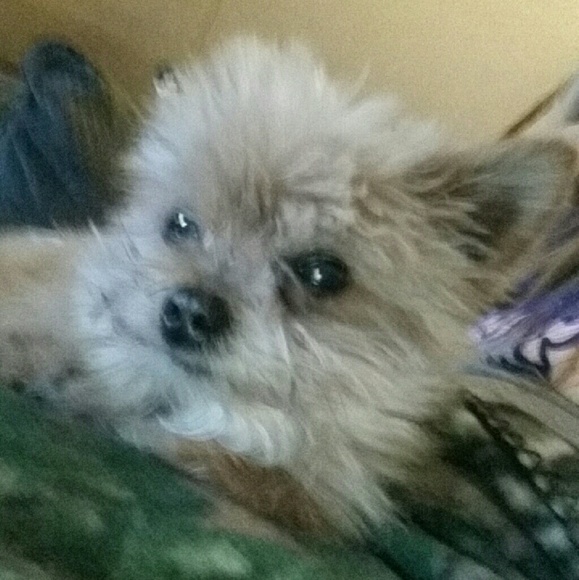 iluvtuck