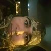 erick_ramirez