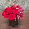 roseannpiccini