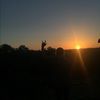 averyhatfield