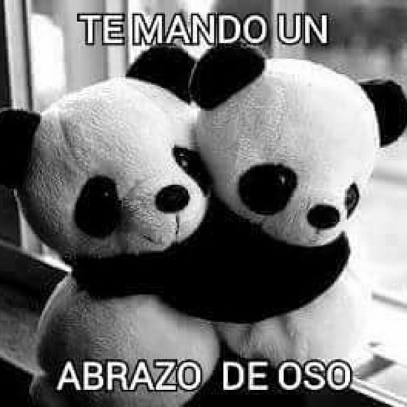 wanda018
