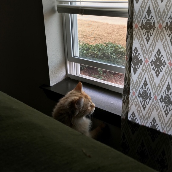 autumnpuckett