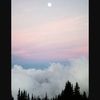 callifornia_