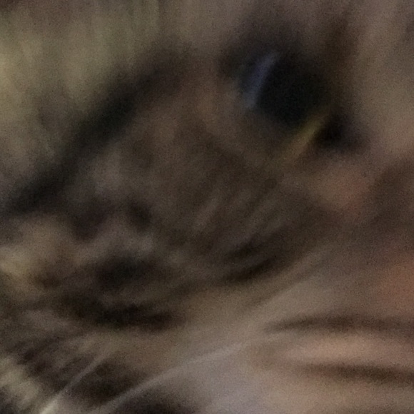 rickwildthing
