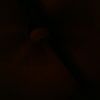 tarnold2225