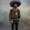 tigrillo