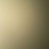 madisonwray34