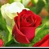 juana_i_almeda