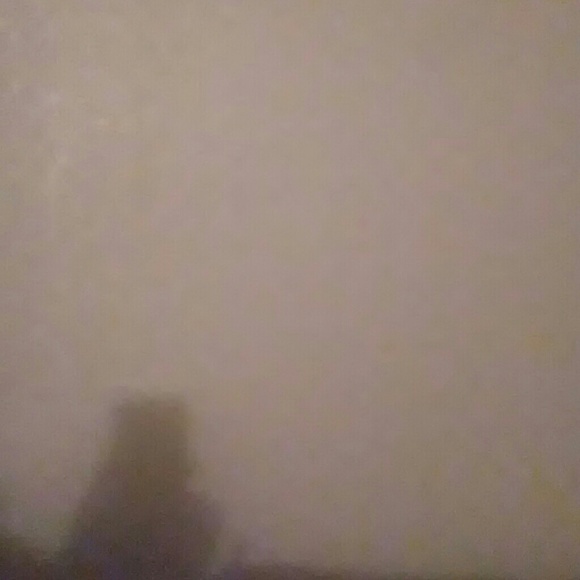 tarenmcleod