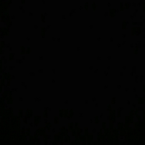apbailey02