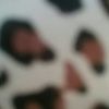 biancabulls