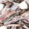 ellaxchanted1