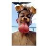 luizito_11