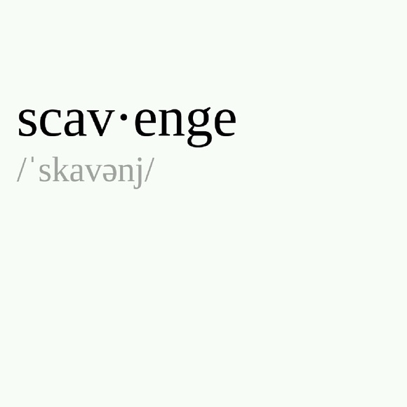 scavengethrift