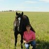 horseracer15